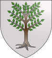 árbol desarraigado