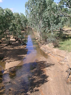 Alice River ved Barcaldine