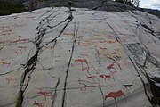 English: Rock art in the world heritage area in Alta, Norway. This is from the area Bergbukten 4b, a group of 195 figures. 22-24 m above sea level, and 6000-7000 years old.