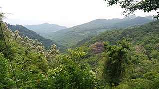 Ambanad Hills Hill Station in Kerala, India