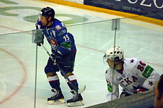 Andrei Nikitenko and Mattias Weinhandl.jpg