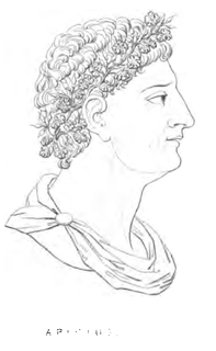 Marcus Gavius Apicius 1st century AD Roman aristocrat and gourmet