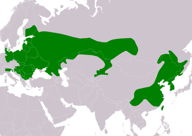 Mapa występowania