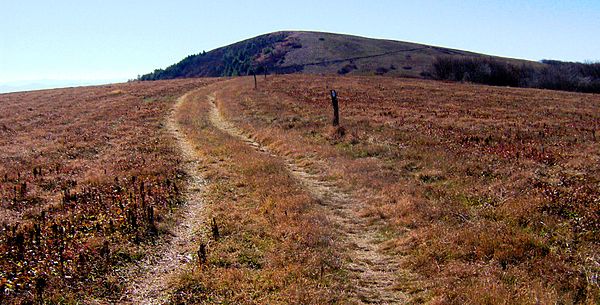 The Appalachian Trail approaching the summit of Big Bald