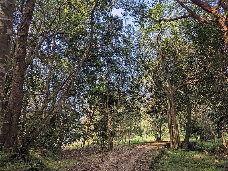 File:Aralam Wildlife Sanctuary during Annual Butterfly Survey 2022 (145).jpg