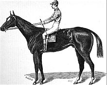 McGrath's Aristides in 1877 Aristides (horse).jpg