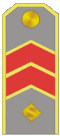 Armenische Legion 1942-1944 - Generál-leytenánt (shoulder mark).gif
