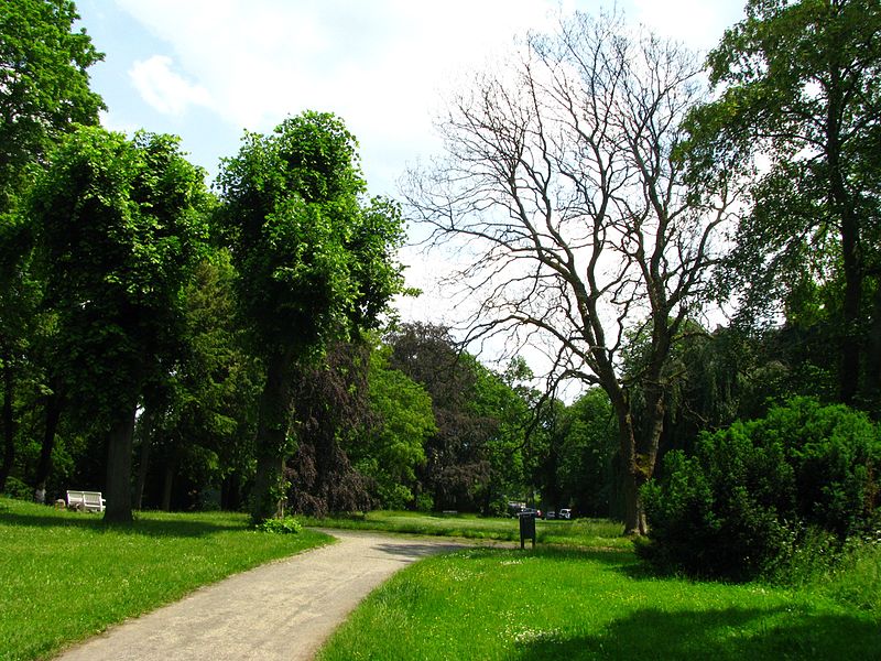 File:Aschrottpark, 4, Vorderer Westen, Kassel.jpg