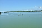 Thumbnail for File:Ashtamudi lake view1.jpg