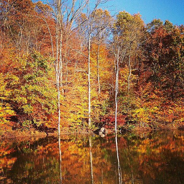 File:Autum Reflections (88219697).jpeg