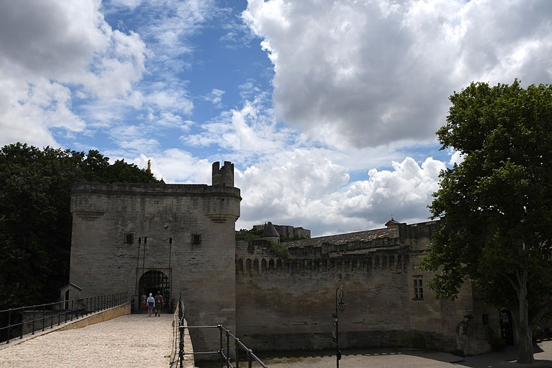 File:Avignon, Rhone et Pont Saint-Bénézet (1355) (42664923332).jpg
