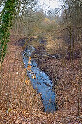 Die Bäke an der Grenze zwischen Kleinmachnow und Stahnsdorf