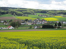 Rapsanbau im Eggetal