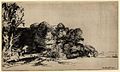 Clump of Trees with a Vista label QS:Len,"Clump of Trees with a Vista" label QS:Lnl,"Huis verscholen tussen bomen" . 1652. drypoint print. 12.4 × 21.1 cm (4.8 × 8.3 in). Various collections.
