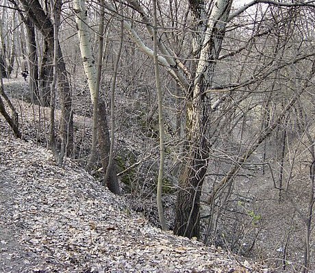 Massacre de Babi Yar