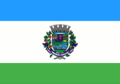 Bandeira de Ribeirão Grande