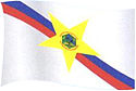 Președintele Figueiredo - Steag
