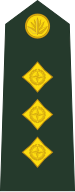 File:Bangladesh-army-OF-2.svg