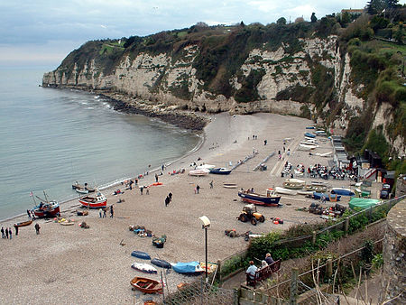 Beach at Beer, Devon