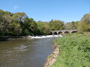 Beam Weir, favoured haunt of Tarka the Otter, with Old Railway Bridge behind (now carrying Tarka Trail cycle-path) BeamWeirRiverTorridgeDevon.JPG