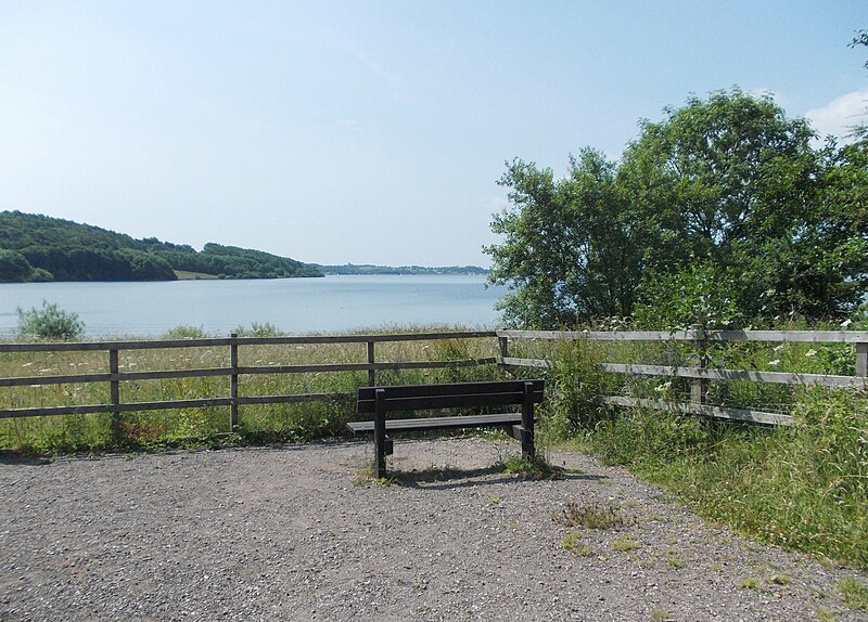 File:Bench to the north of Carsington Water - geograph.org.uk - 3553672.jpg