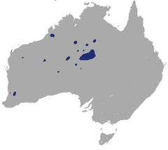 Black-flanked Rock Wallaby area.png