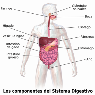 Problema de los tres cuerpos - Wikipedia, la enciclopedia libre