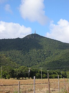 Boggy Peak Mountain in Antigua