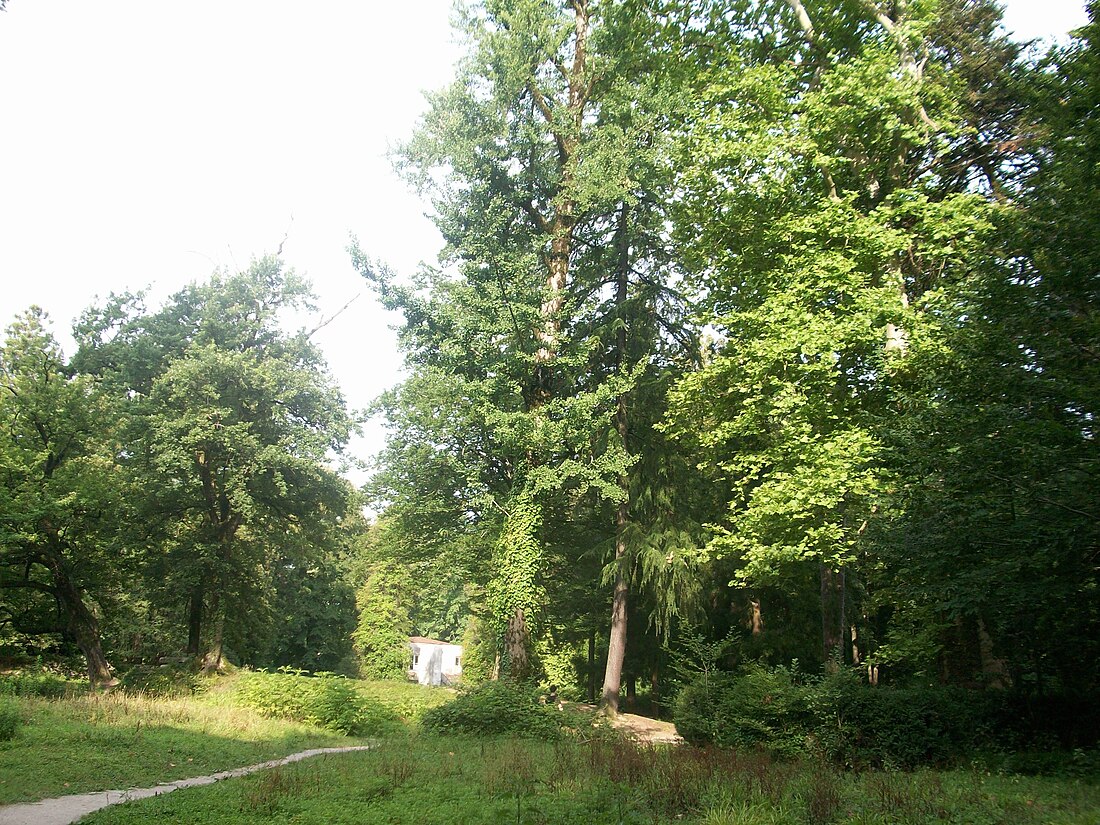 File:Botanical garden (Zugdidi170).jpg