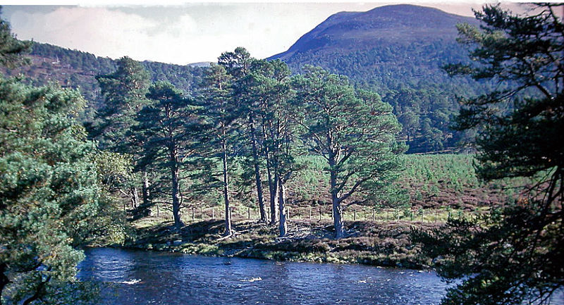 File:Braemar Invercauld Bridge geograph-3204922-by-Ben-Brooksbank.jpg