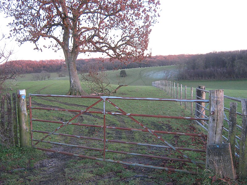 File:Bridle Gate near Standardhill Farm - geograph.org.uk - 2232076.jpg