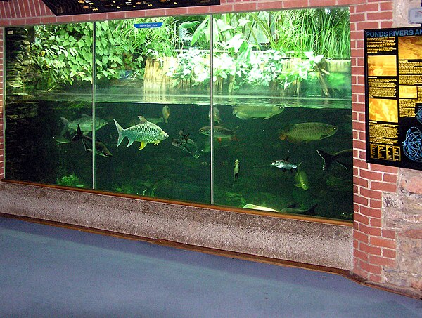 Aquarium at Bristol Zoo, England. Maintenance of filters becomes costly with high TDS.