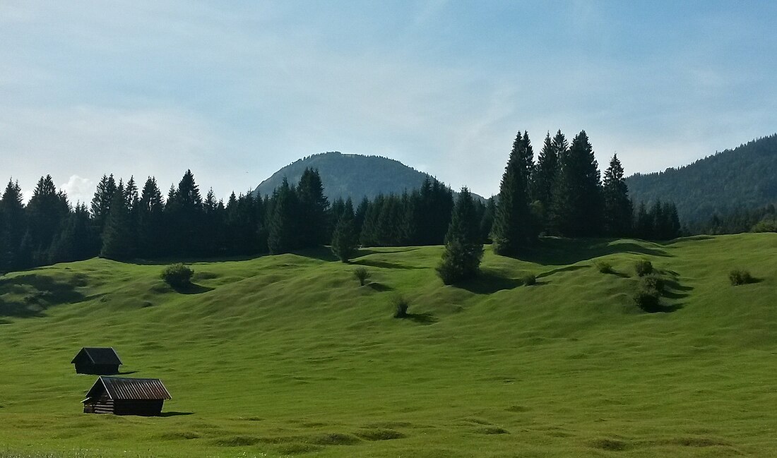 File:Bucklewiesen am Plattele LKr GarmischPartenkirchen.jpg