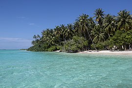 Buiobuione Maldive Beach Atollo Kaafu.jpg