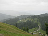 Cárpatos en Bucovina.