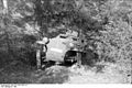 Bundesarchiv Bild 101I-259-1389-15A, Südfrankreich, Schützenpanzer im Wald.jpg