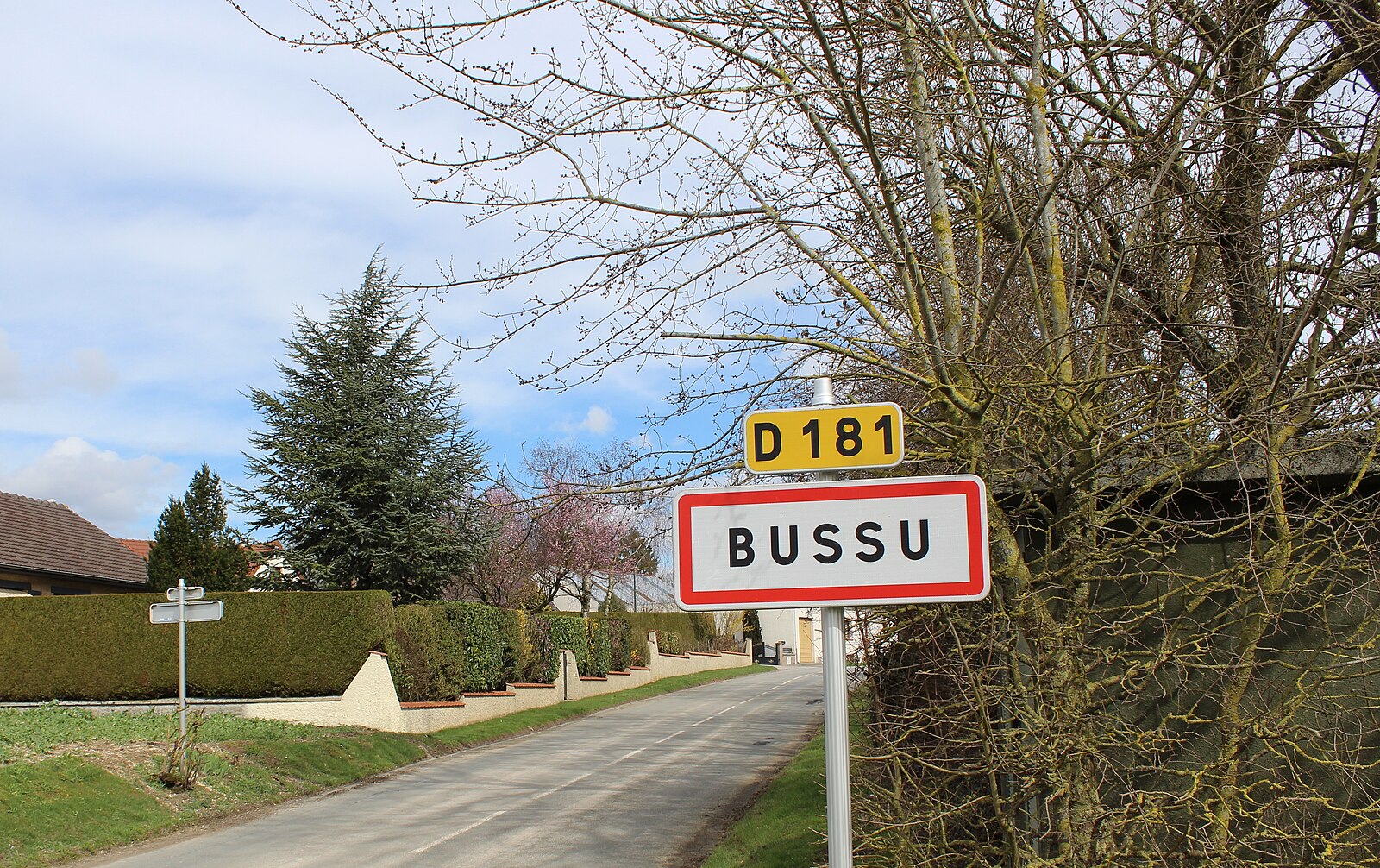 Bussu