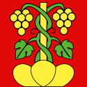 Wileroltigen – Bandiera