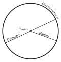 Radius üçün miniatür