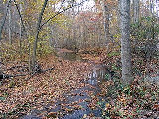 Cabin John Creek tributary stream of the Potomac River in Montgomery County, Maryland, USA