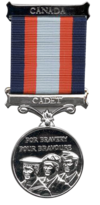 Cadet Award for Bravery.tif