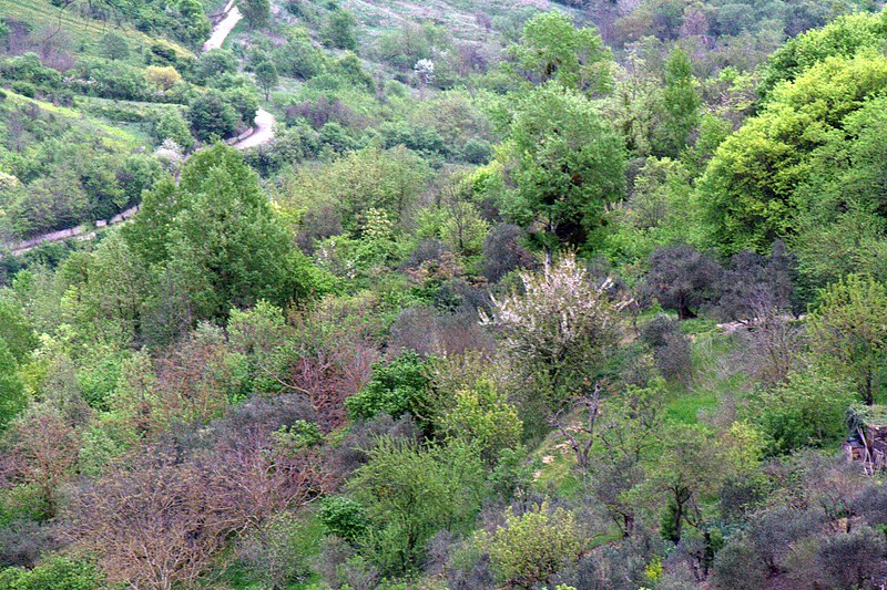 File:Calitri, Province of Avellino, Italy - panoramio (1).jpg