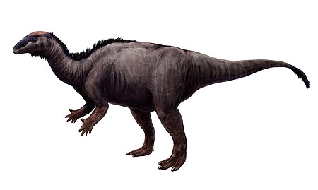 Tập_tin:Camptosaurus.jpg