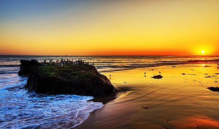 Campus Point (UCSB)