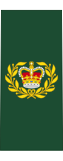 Esercito canadese OR-8.svg