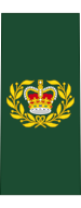File:Canadian Army OR-8.svg