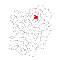 Locatie in Caraș-Severin County