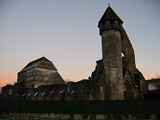 Cârţa castle