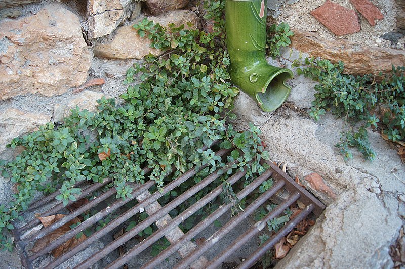 File:Castelnou façades et détails maisons 10.jpg