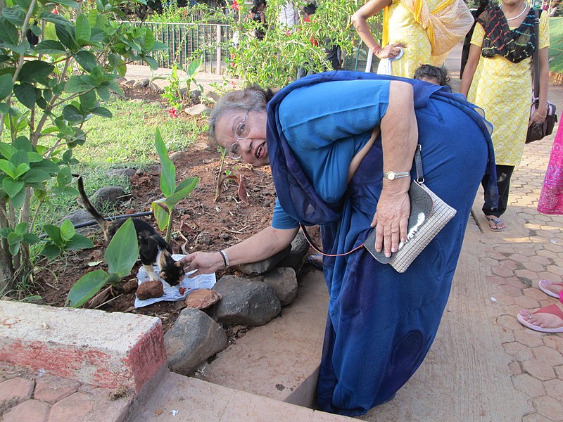 File:Cat Philanthropist Mrs Munshi at 'Joggers Park' in Mumbai..JPG